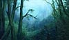 oil painting: forest