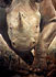 oil painting: african rhino